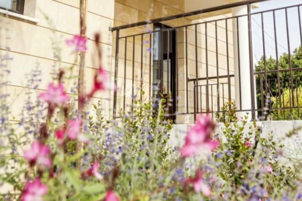 Epicurian Residence Nicosia Exterior photo
